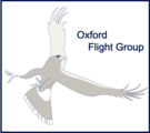 Logo Oxford Flight Group